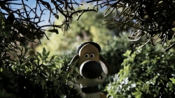 بره ناقلا (بیتزر)